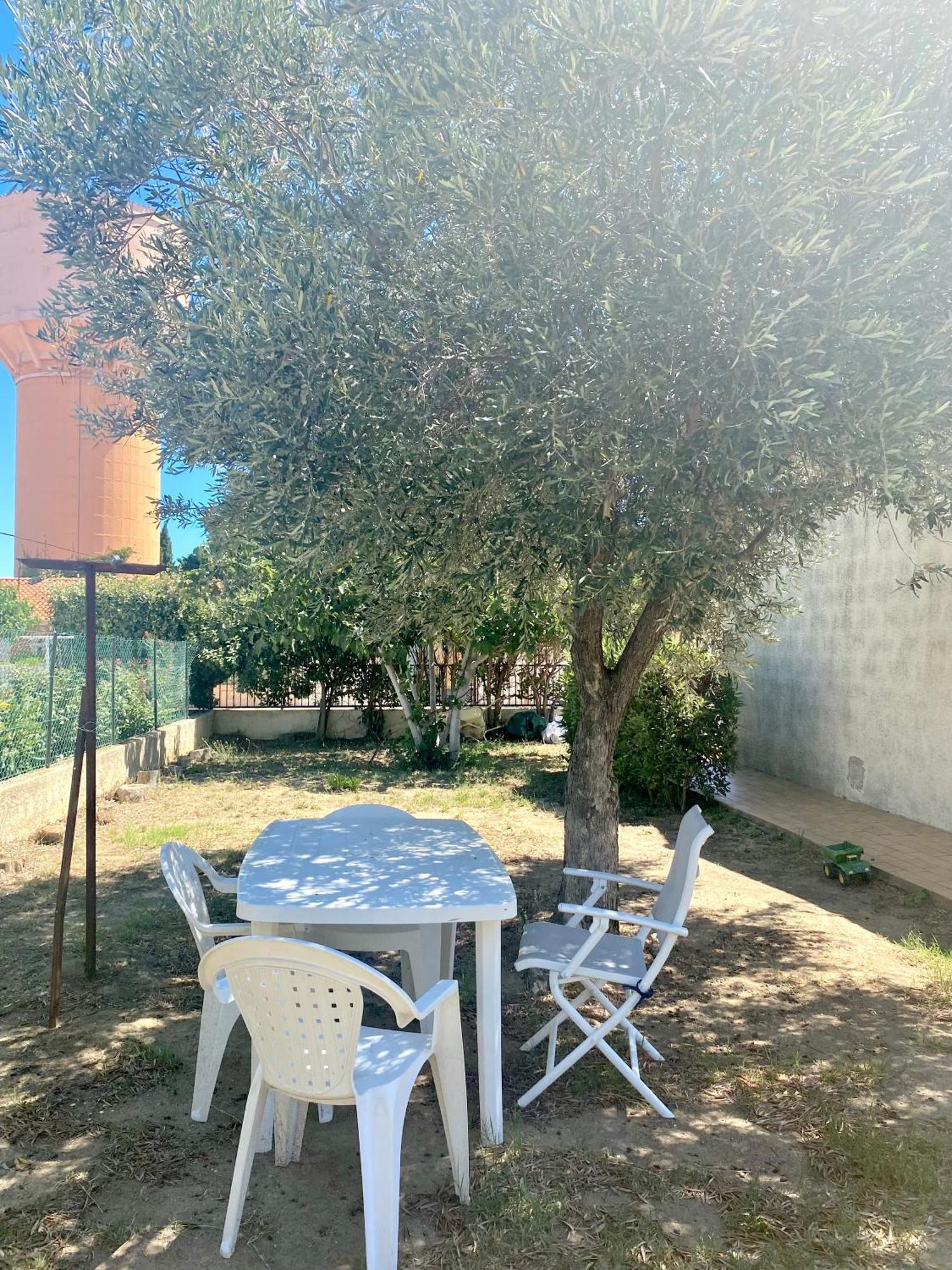 Maison Avec Jardin 萨勒斯勒沙托 外观 照片
