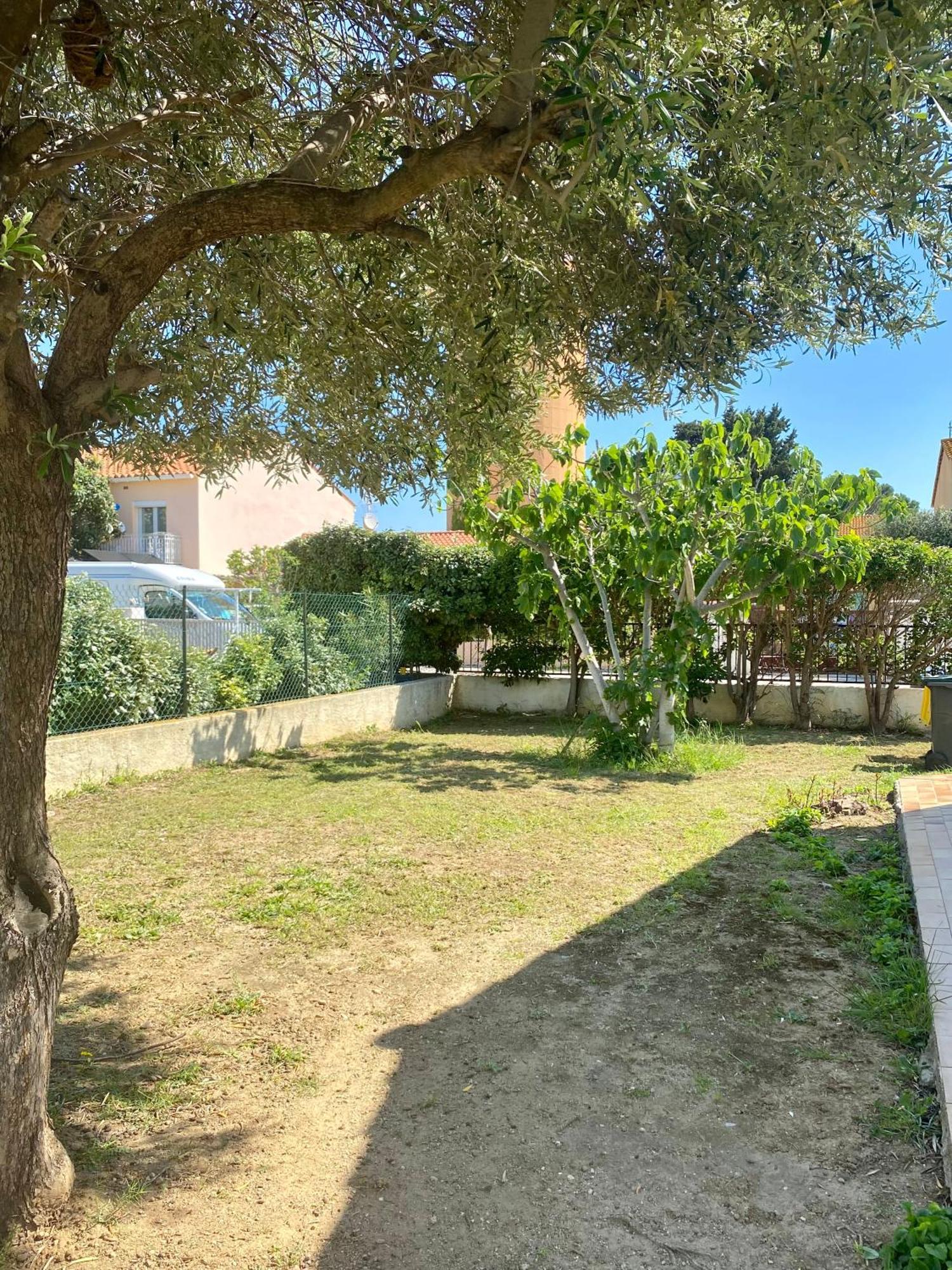 Maison Avec Jardin 萨勒斯勒沙托 外观 照片